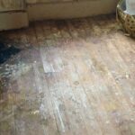 Parquet humide près fenêtre